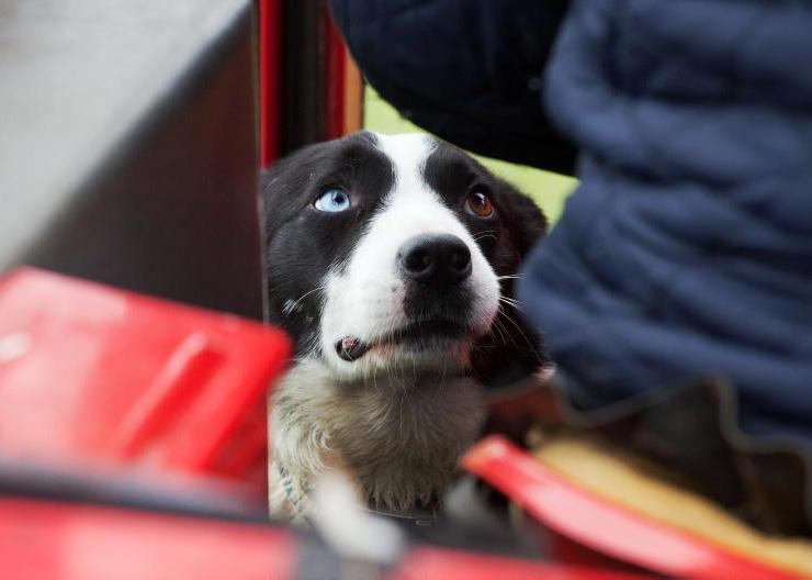 Twenty people die on farms in 2025