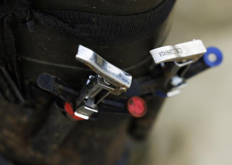 TB reactor numbers fall 8% in 2025