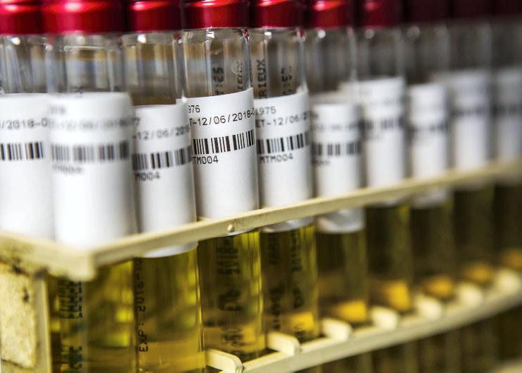 Department carried out 2,500 bluetongue tests since July