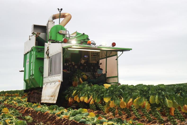 In pictures: our favourite readers' photos of the week