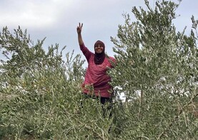 Farming in the Holy Land is a daily struggle