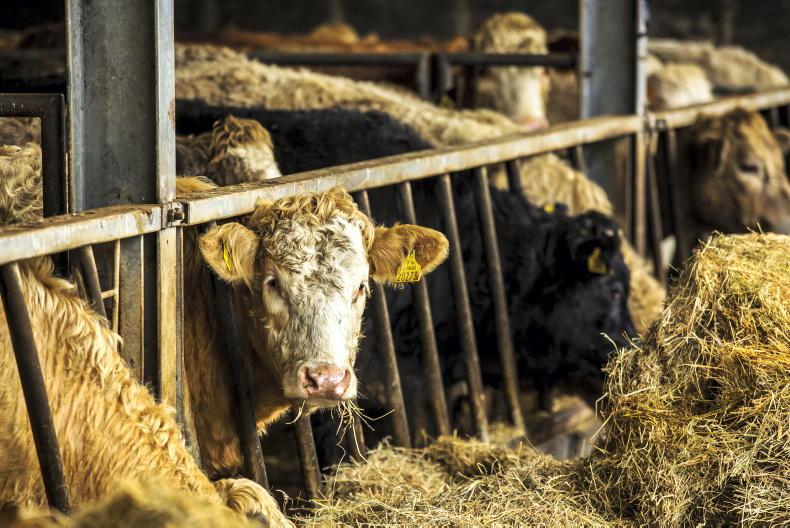 Ten reasons to be optimistic about 2026