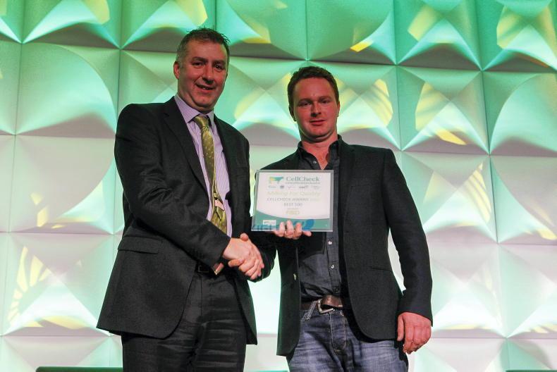 Centenary Thurles seeks new CEO 