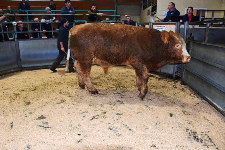 Beef scheme keeps kill up in December