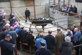 Northern Ireland diary of events