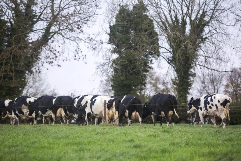 Agri jobs: dairy and poultry workers in demand