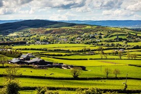 In pictures: winter farming and rural scenes to get the new year started