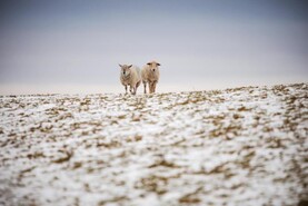 Weekend weather: severe frost forecast in parts 