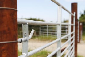 Over 145,000 samples tested under soil sampling and analysis programme