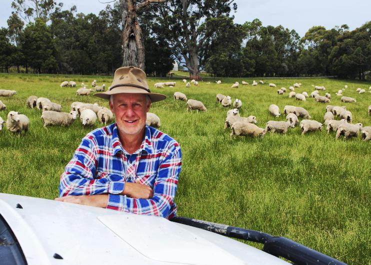 Australian farmers flock to wool or shedding sheep 
