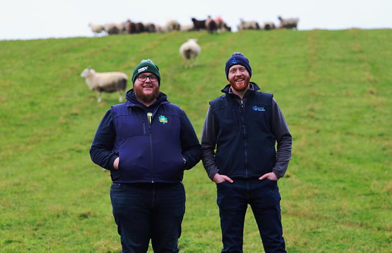 My Farming Week: Seamus McConnon, Carrickmacross, Co Monaghan