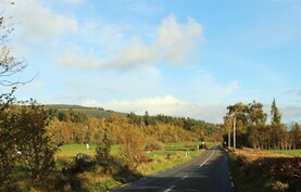 The importance of forest design