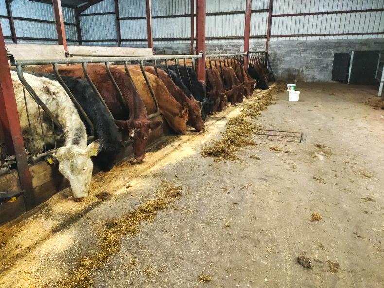 Bovine TB rears its ugly head again