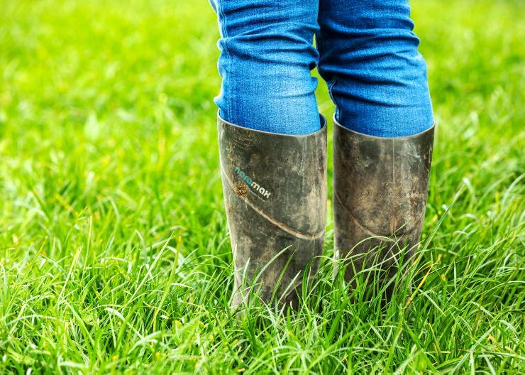 Grass growth rates recover in 2025