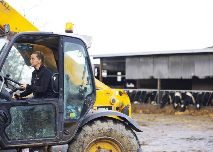 'It crucified us' - farmer describes heartbreak of losing half her herd to TB