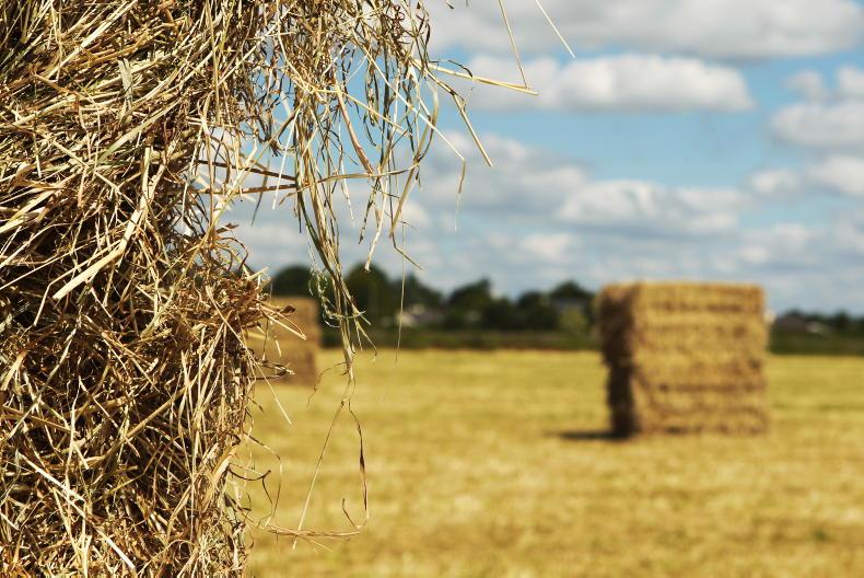 2025 was Ireland's second-hottest year on record - Met Éireann