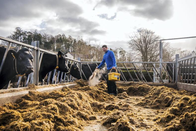 Farmer Writes: TB deals us another blow 