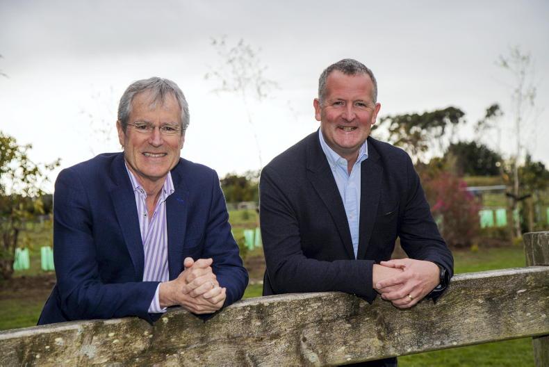 Niall Browne takes the reins at Alliance