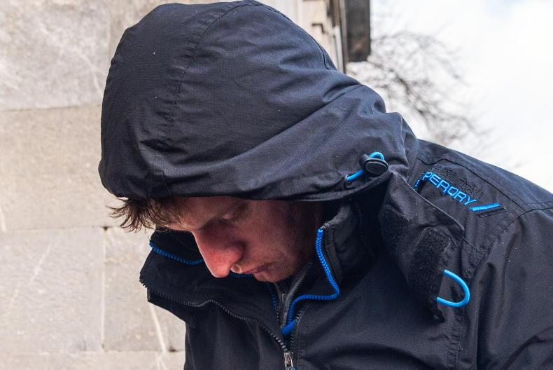 Further two weeks in custody for Cork farmer                   