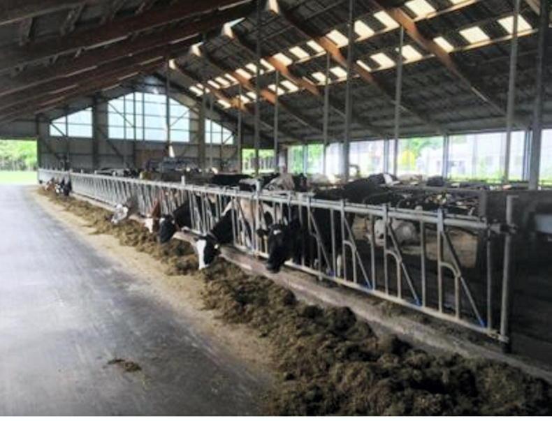 GDT up 6.8%, but global supplies still rising