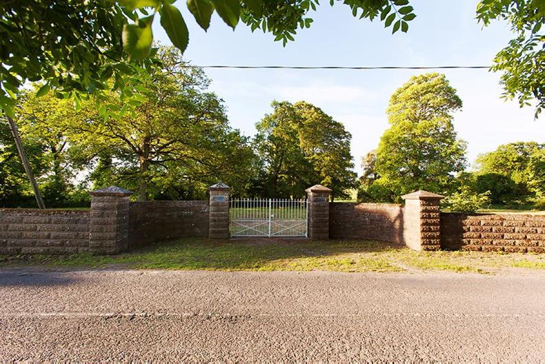 Offers in excess of €4m are expected for Carriglea property       