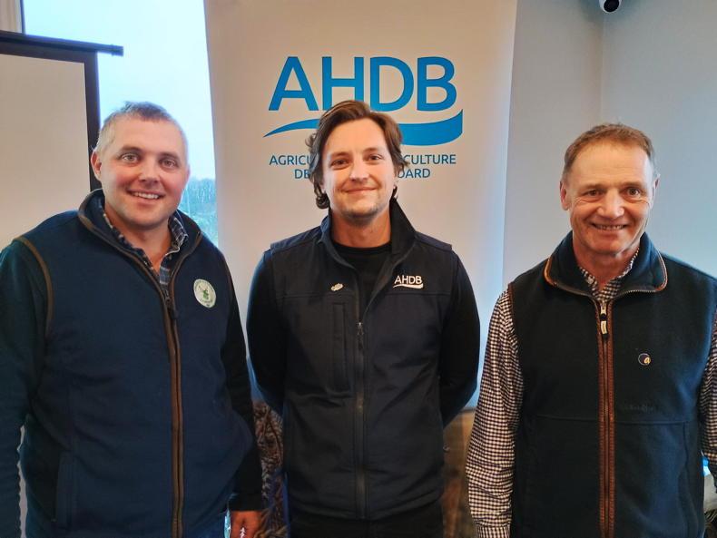 Key role for cover crops on NI farms