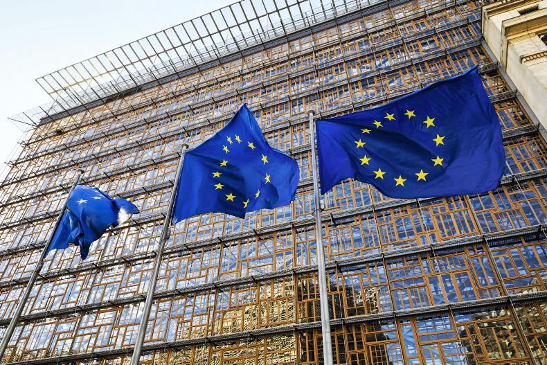 Average income payment of €240/ha needed in next CAP - IFA