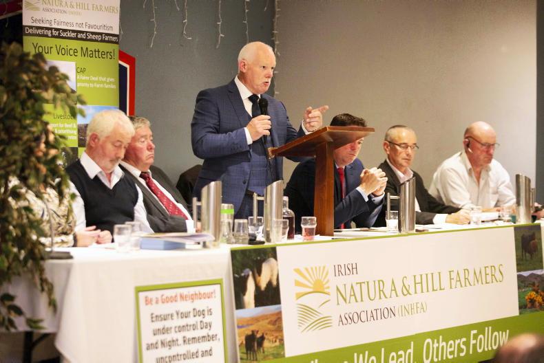 INHFA encourages farmers to protest ‘unacceptable’ Mercosur deal in Athlone