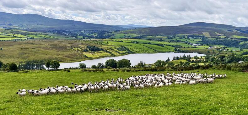 Farm funding included in NI draft budget