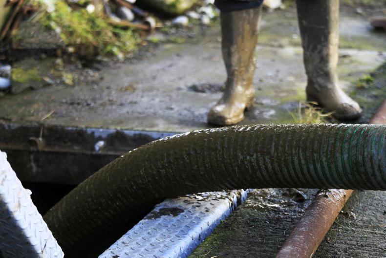 Dairy Management: where to go with slurry this spring