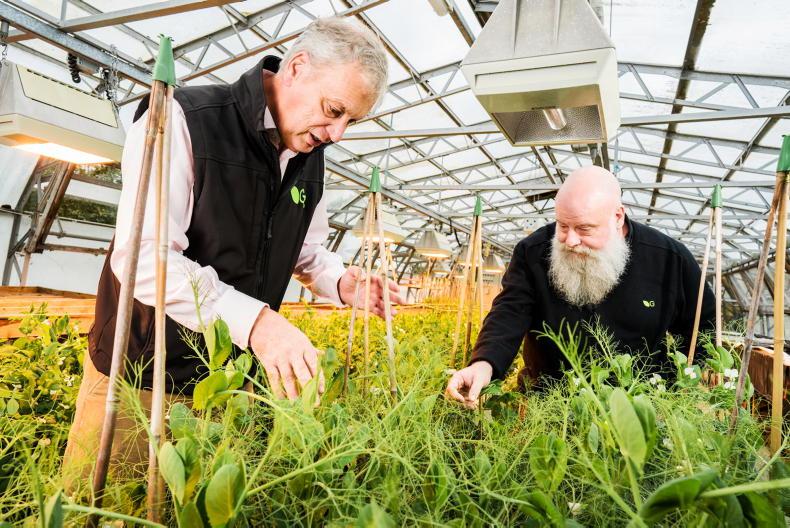 Tillage Podcast: CBAM, imports and improving protein varieties