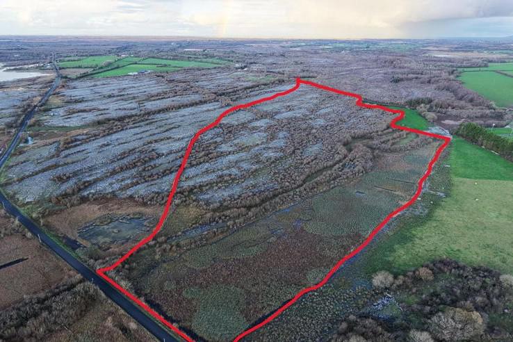 Limestone and wetlands on the market in Co Clare                          