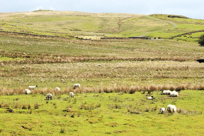 Three steps to seek an ACRES commonage scorecard appeal