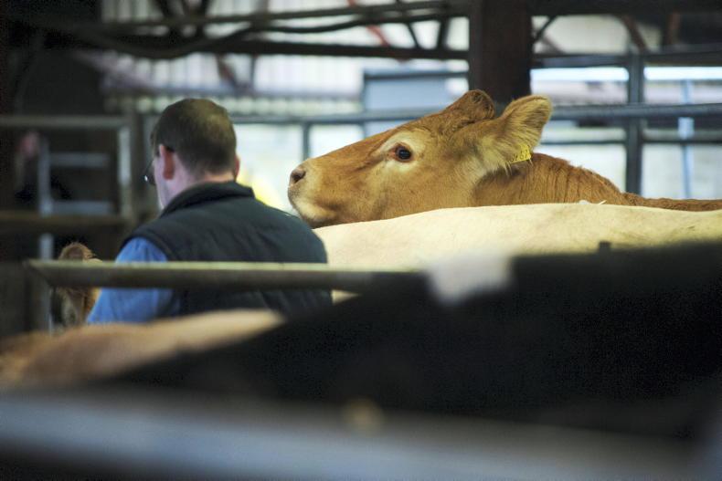 Marts cancel Saturday sales in solidarity with Athlone protest 