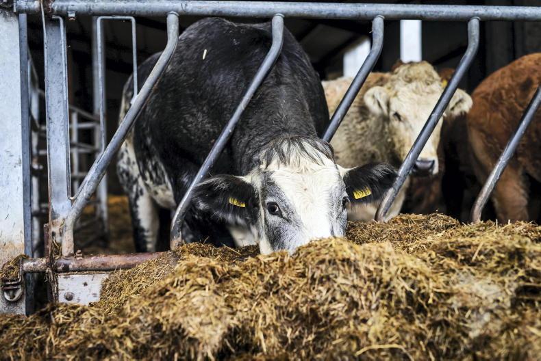 Weekend weather: cold to continue until Sunday