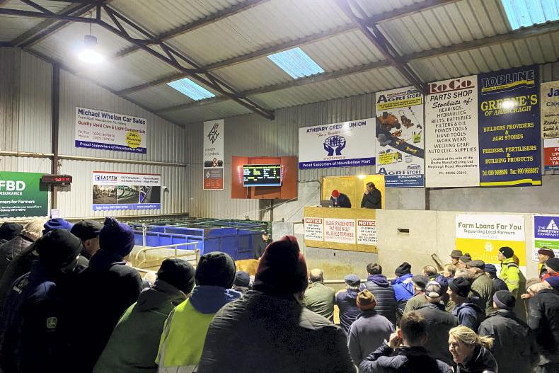 Farmer’s Yards – a remedy to combat social isolation