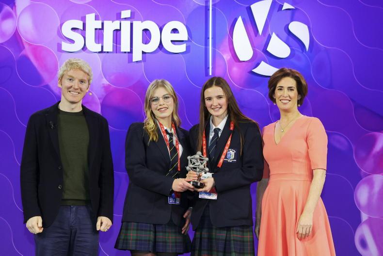 What makes our young scientists tick?