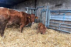 Strong starts begin with good preparation