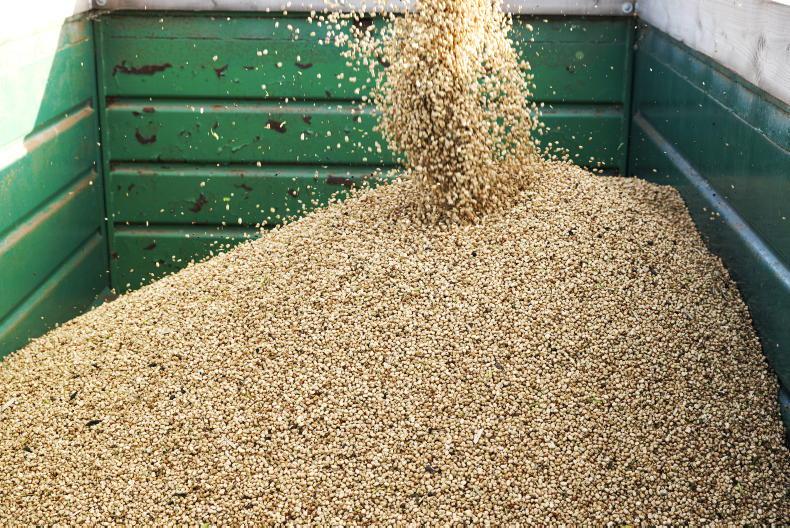 Minimum price of €230/t offered for beans by Dairygold