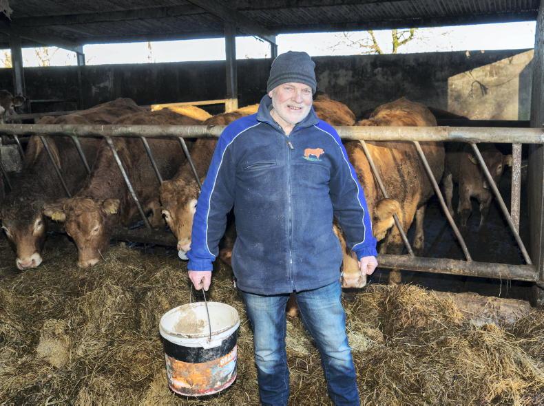 Pedigree breeding for the love of it