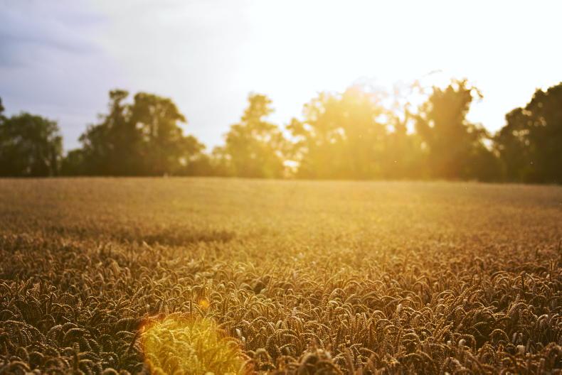Home Farm:  slurry season opens 
