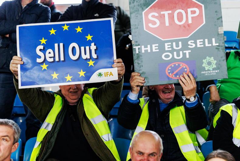 Colm McCarthy: farmers will be blamed for Mercosur protest 