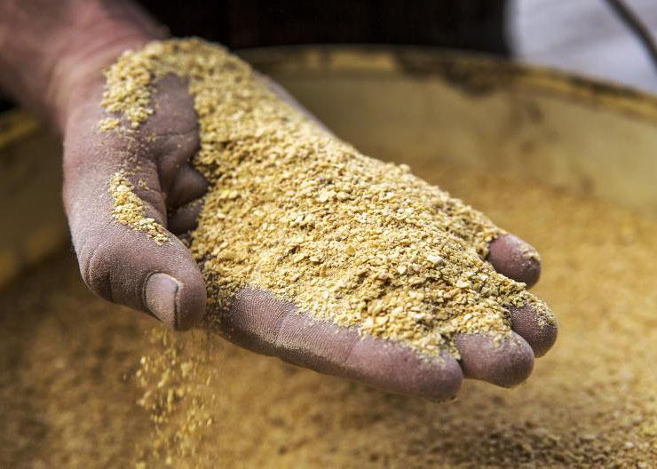 Over 650,000t of Mercosur feed imported