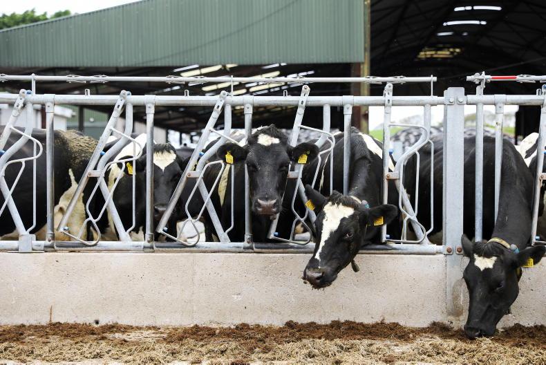 December milk price cut 2.87c/l for Lakeland Dairies’ suppliers
