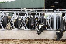 December milk price cut 2.87c/l for Lakeland Dairies’ suppliers