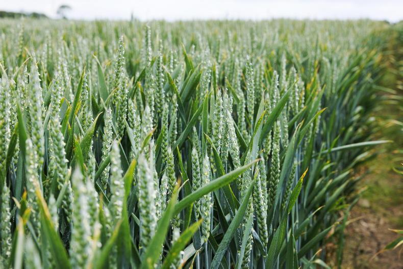 Tillage Management: crop rules, slurry and varieties