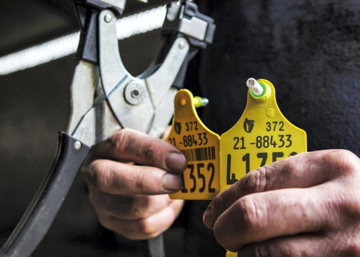 An Post increases the cost of sample postage by 19%