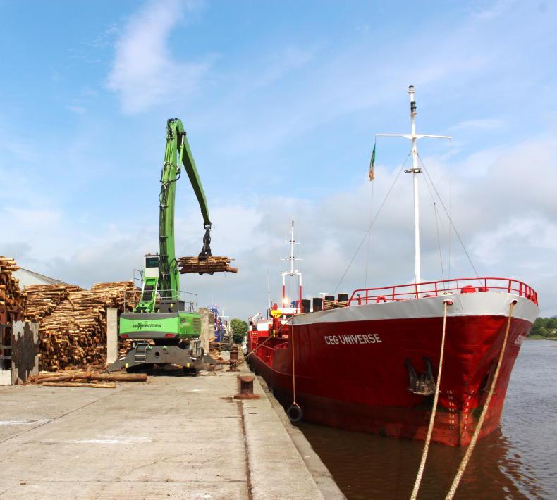 Forest owners still living in the aftermath of storm Éowyn 