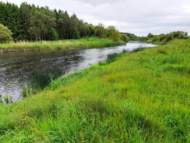 FSS1 and FSS2: What NI farmers must do to stay compliant in 2026