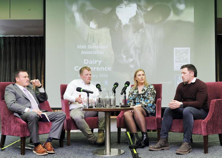 No legal framework to use cattle as loan security 